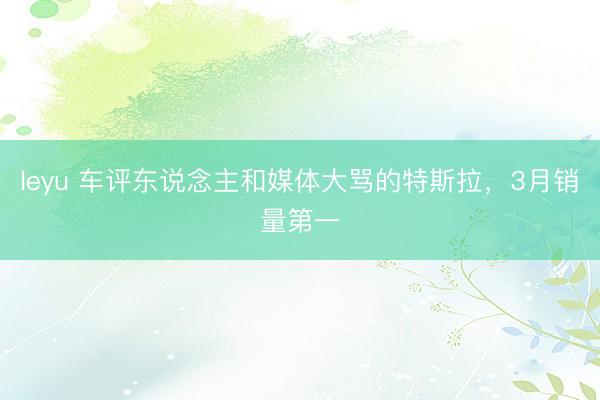 leyu 车评东说念主和媒体大骂的特斯拉，3月销量第一